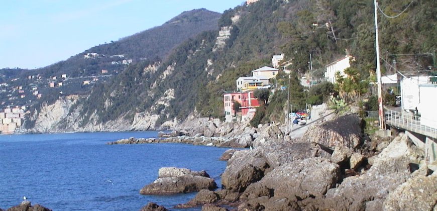 Ref. 88 – Cabin in Punta Chiappa Ref. 88 – Cabin in Punta Chiappa