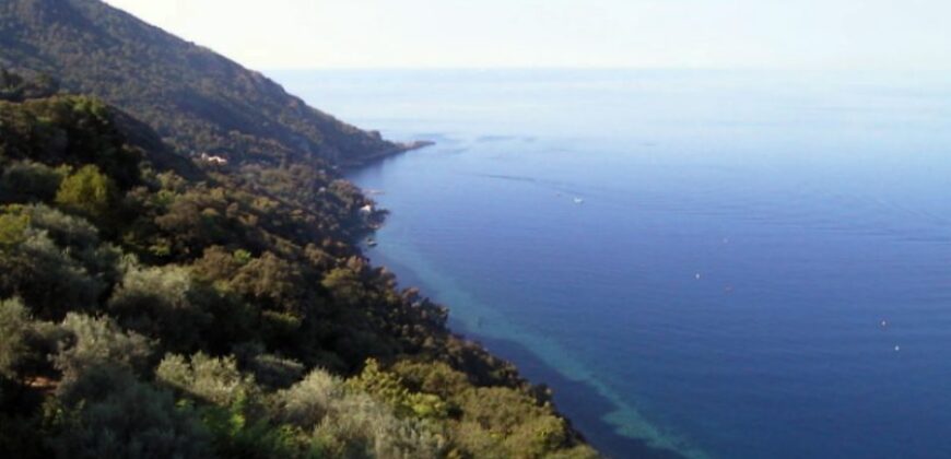 Ref. 88 – Cabin in Punta Chiappa Ref. 88 – Cabin in Punta Chiappa