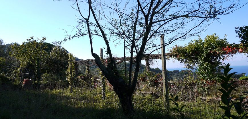 Ref. 47 – Camogli Villa Ref. 47 – Camogli Villa