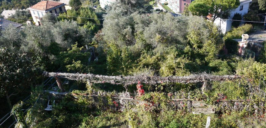 Ref. 47 – Camogli Villa Ref. 47 – Camogli Villa