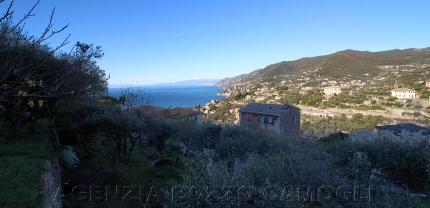 Ref. 22 – CAMOGLI SMALL VILLA FOR SALE