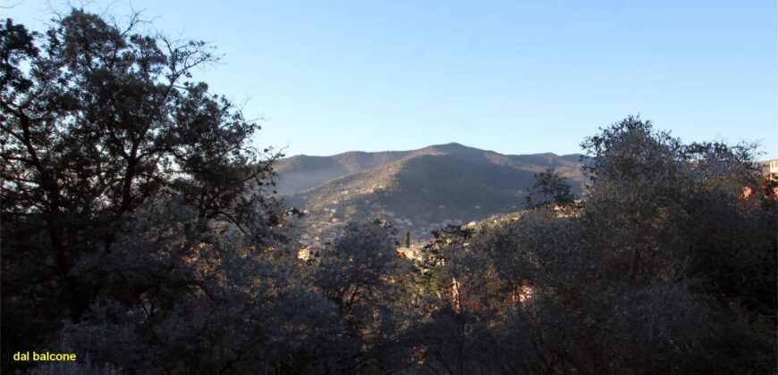 Ref. 21 CAMOGLI SMALL VILLA FOR SALE