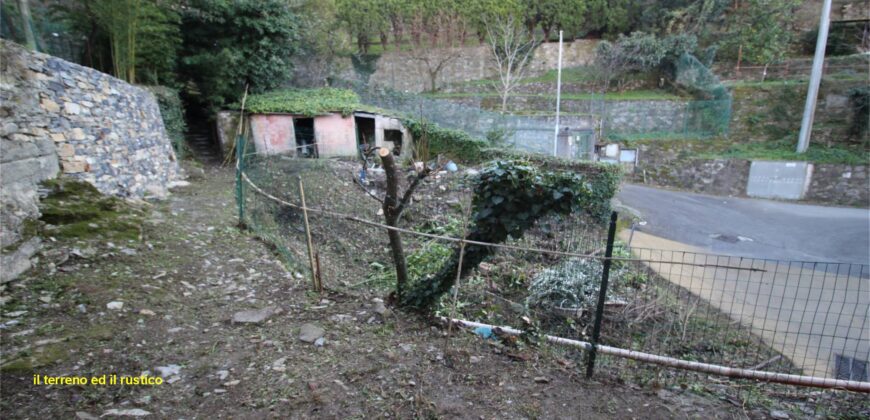 Ref. 21 CAMOGLI SMALL VILLA FOR SALE