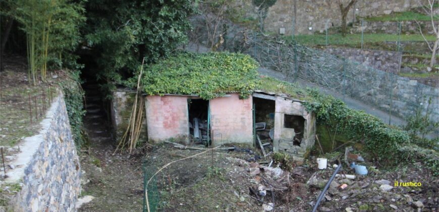 Ref. 21 CAMOGLI SMALL VILLA FOR SALE