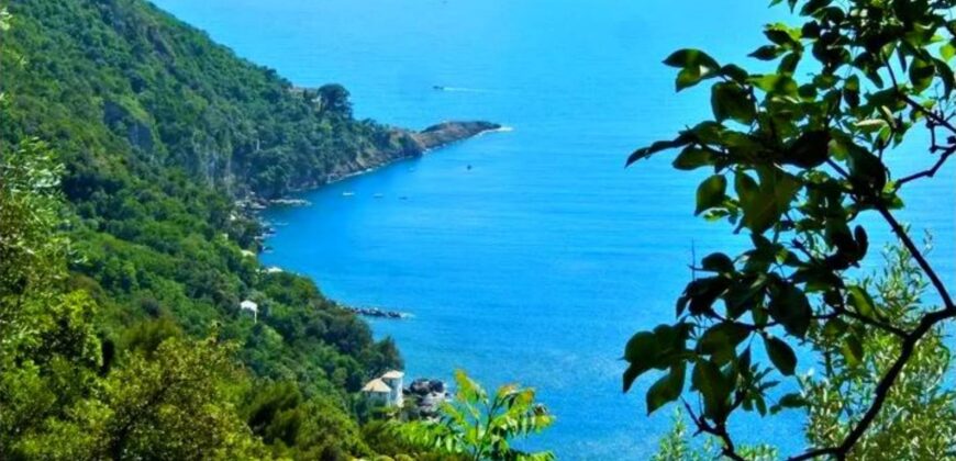 Ref. 8 RUTA DI CAMOGLI FOR SALE Ref. 8 RUTA DI CAMOGLI FOR SALE