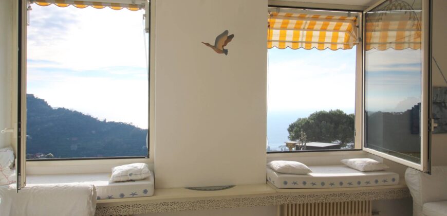 Ref. 8 RUTA DI CAMOGLI FOR SALE Ref. 8 RUTA DI CAMOGLI FOR SALE