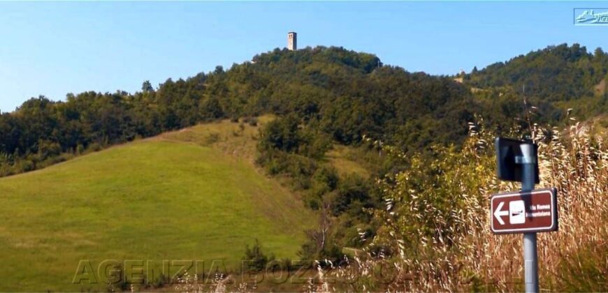 Ref.MF PROPERTY FOR INVESTMENT PURPOSES Ref.MF PROPERTY FOR INVESTMENT PURPOSES