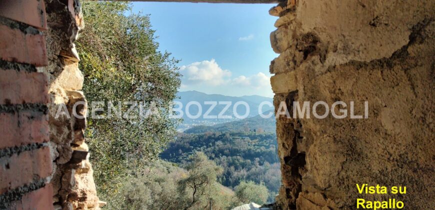 Ref. 17 – RUSTIC FOR SALE on the MONTE DI PORTOFINO