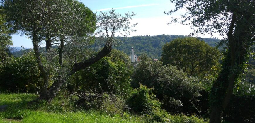 Ref. 17 – RUSTIC FOR SALE on the MONTE DI PORTOFINO