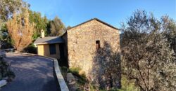 Ref. 17 – RUSTIC FOR SALE on the MONTE DI PORTOFINO