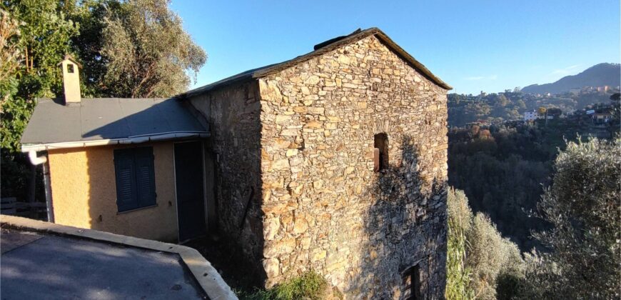 Ref. 17 – RUSTIC FOR SALE on the MONTE DI PORTOFINO