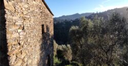 Ref. 17 – RUSTIC FOR SALE on the MONTE DI PORTOFINO