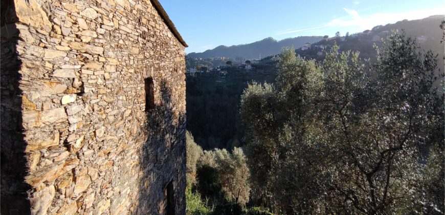 Ref. 17 – RUSTIC FOR SALE on the MONTE DI PORTOFINO