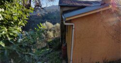 Ref. 17 – RUSTIC FOR SALE on the MONTE DI PORTOFINO