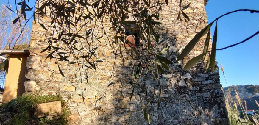 Ref. 17 – RUSTIC FOR SALE on the MONTE DI PORTOFINO