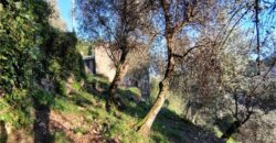 Ref. 17 – RUSTIC FOR SALE on the MONTE DI PORTOFINO