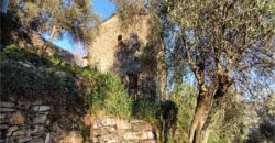 Ref. 17 – RUSTIC FOR SALE on the MONTE DI PORTOFINO