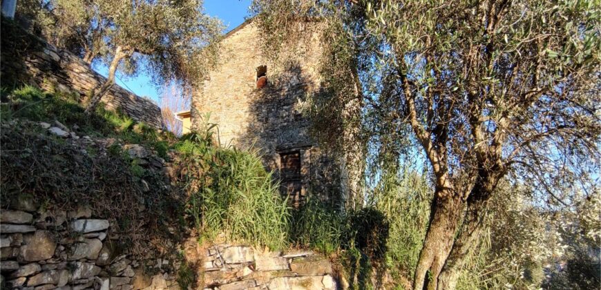 Ref. 17 – RUSTIC FOR SALE on the MONTE DI PORTOFINO