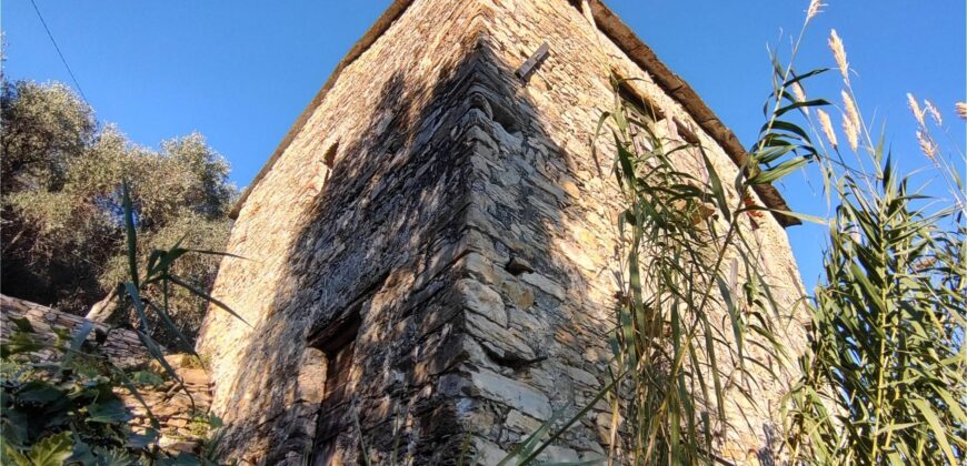 Ref. 17 – RUSTIC FOR SALE on the MONTE DI PORTOFINO