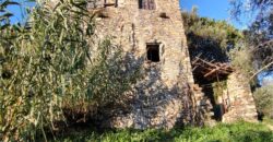 Ref. 17 – RUSTIC FOR SALE on the MONTE DI PORTOFINO
