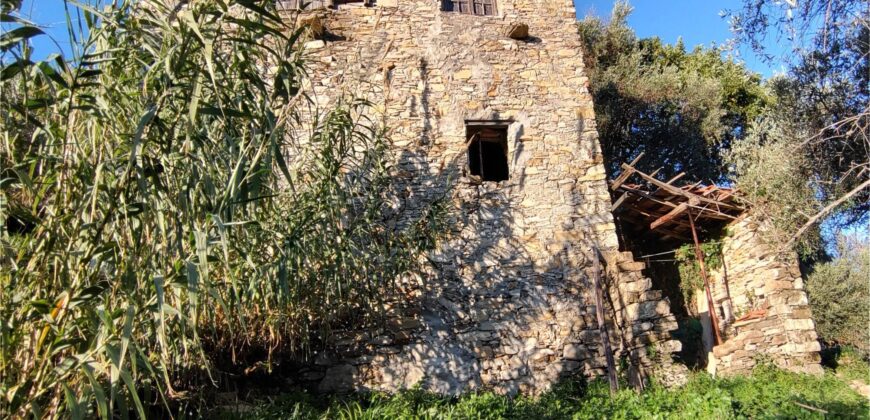 Ref. 17 – RUSTIC FOR SALE on the MONTE DI PORTOFINO