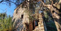 Ref. 17 – RUSTIC FOR SALE on the MONTE DI PORTOFINO