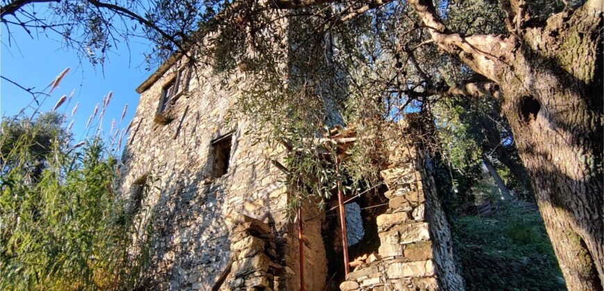 Ref. 17 – RUSTIC FOR SALE on the MONTE DI PORTOFINO