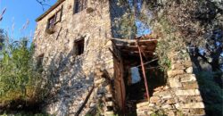Ref. 17 – RUSTIC FOR SALE on the MONTE DI PORTOFINO