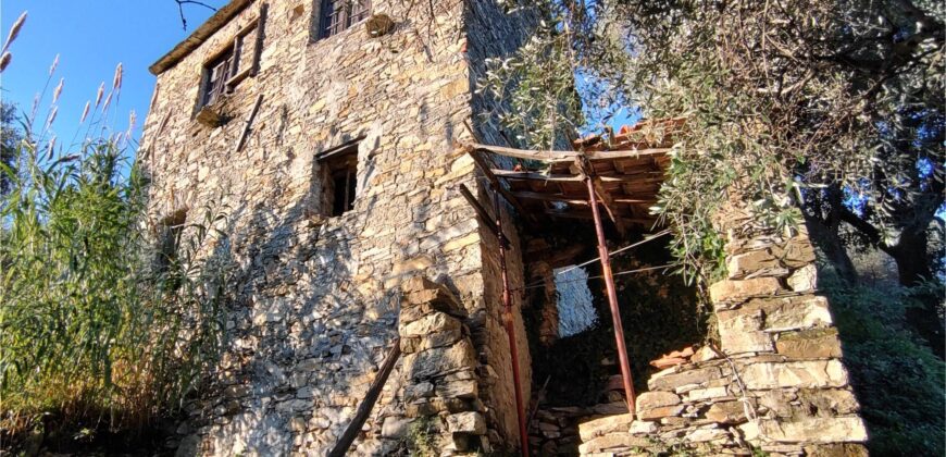 Ref. 17 – RUSTIC FOR SALE on the MONTE DI PORTOFINO