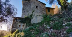 Ref. 17 – RUSTIC FOR SALE on the MONTE DI PORTOFINO