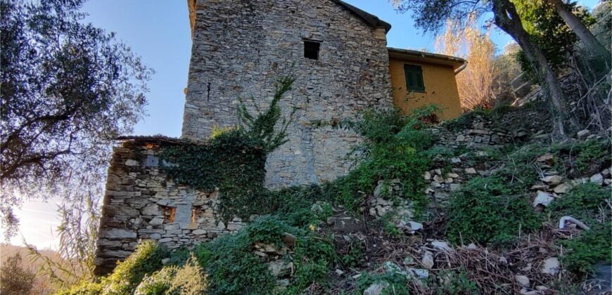 Ref. 17 – RUSTIC FOR SALE on the MONTE DI PORTOFINO