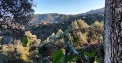 Ref. 17 – RUSTIC FOR SALE on the MONTE DI PORTOFINO