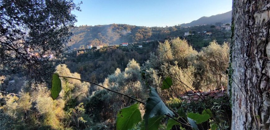 Ref. 17 – RUSTIC FOR SALE on the MONTE DI PORTOFINO