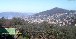 CAMOGLI SAN ROCCO – BARE PROPERTY FOR SALE CAMOGLI SAN ROCCO – BARE PROPERTY FOR SALE