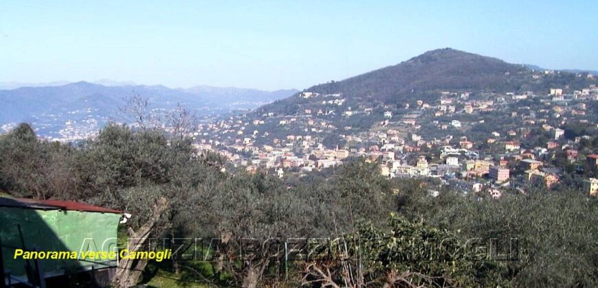 CAMOGLI SAN ROCCO – BARE PROPERTY FOR SALE CAMOGLI SAN ROCCO – BARE PROPERTY FOR SALE